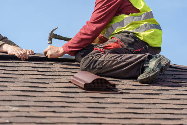 Best Metal Roofing Contractor  in Georgetown, OH