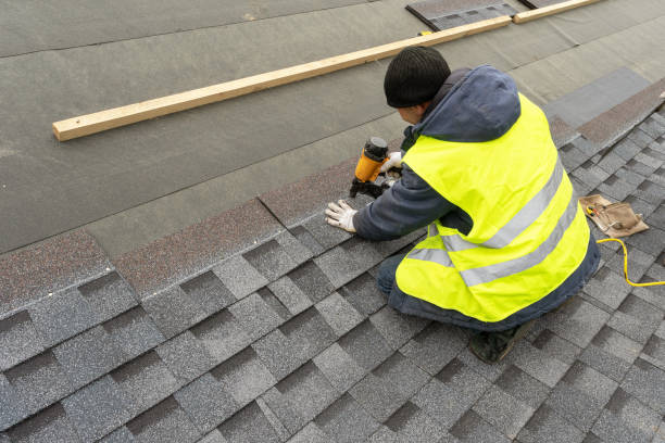 Best Roof Gutter Cleaning  in Georgetown, OH