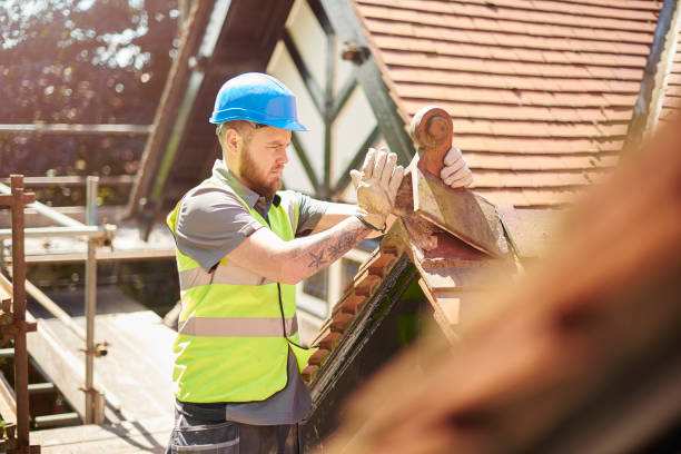 Best Storm Damage Roof Repair  in Georgetown, OH